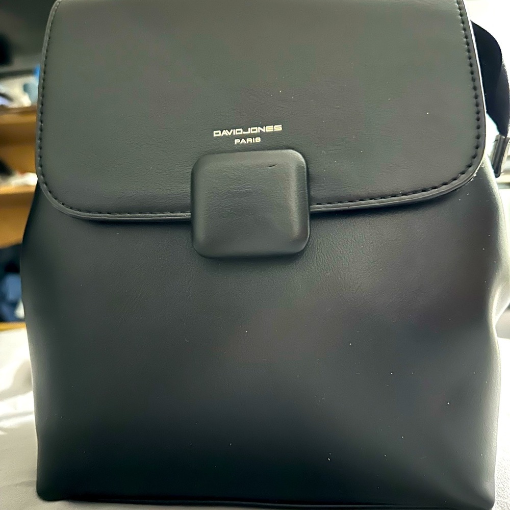 David Jones Flapbag bag pack